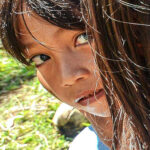 gallery 002 free img